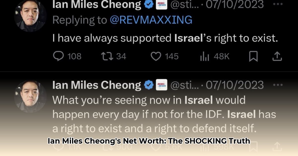 ian-miles-cheong-net-worth